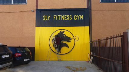 Gimnasio Sly Fitness Gym  La Carlota