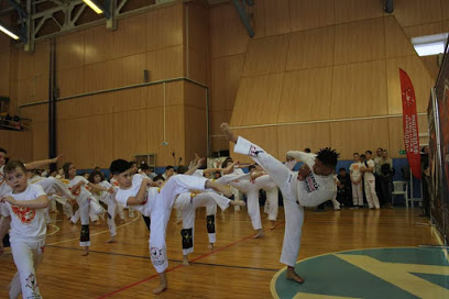 Gimnasio Capoeira Muzenza Segovia