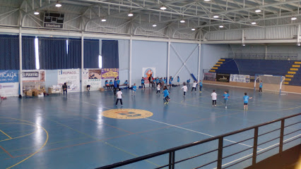 imagen Municipal Sports Center Olías Del Rey