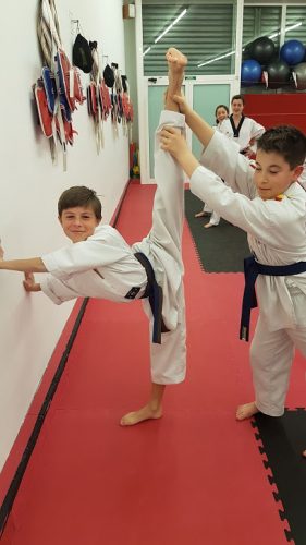 Escuela Esportiva Taekwondo Vila-seca