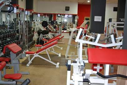 Gimnasio Big Gym Fitness  Linares