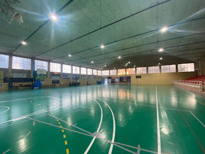 imagen Polideportivo Municipal Requena