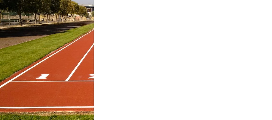 imagen Polideportivo Los Olmos Binefar