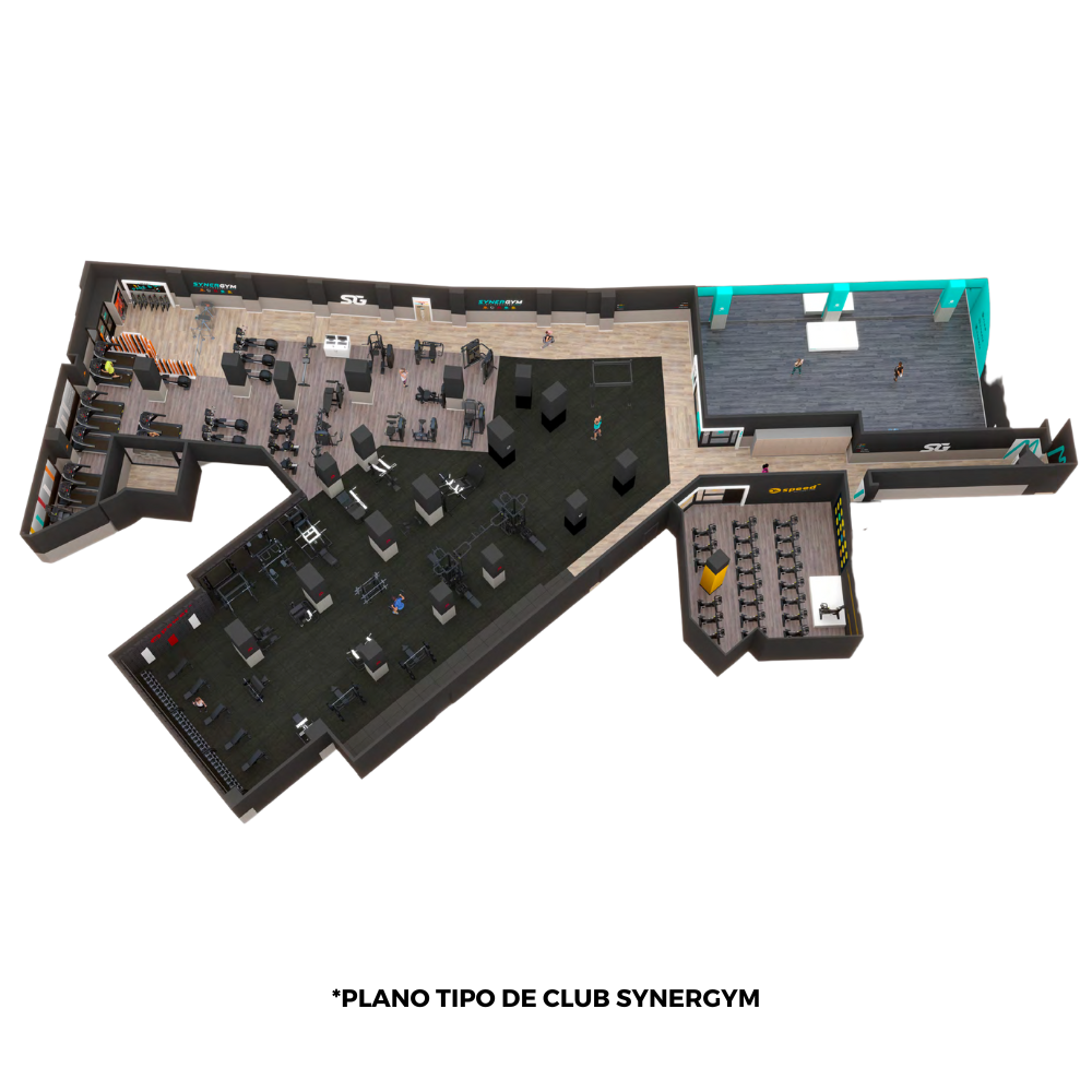 synergym-zaragoza-aljaferia