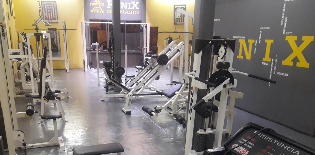 gimnasio-fenix